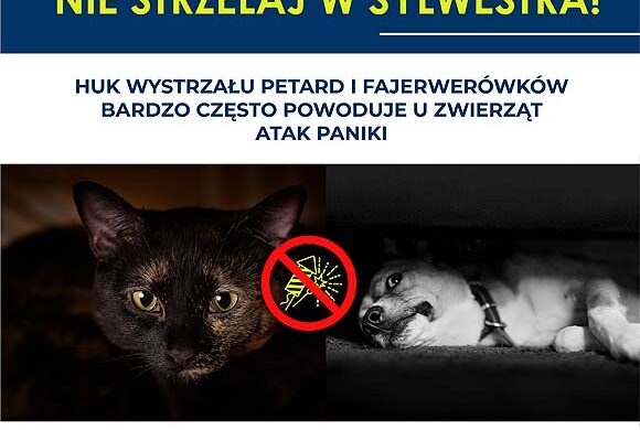 Nie strzelaj w SYLWESTRA!